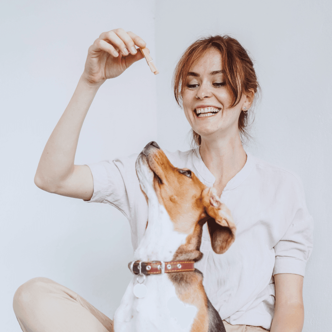 Treats, timing, trust — Obedience Masters dog training